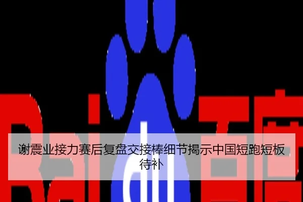 谢震业接力赛后复盘交接棒细节揭示中国短跑短板待补